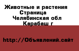  Животные и растения - Страница 14 . Челябинская обл.,Карабаш г.